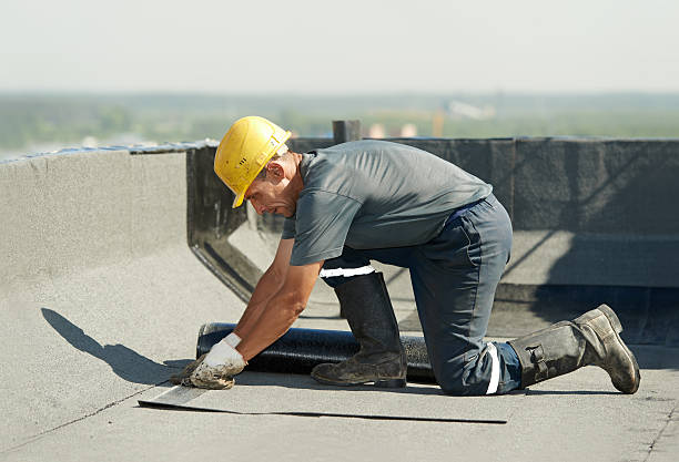 Best Eco-Friendly Insulation in Lexington, MI